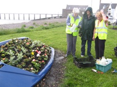 Harbour boat replanted for summer