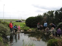 Activities with Countryside Rangers
