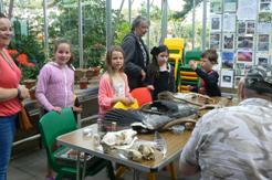 Children's Nature Detectives 9th August 2017