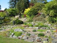 Holehird rock gardens